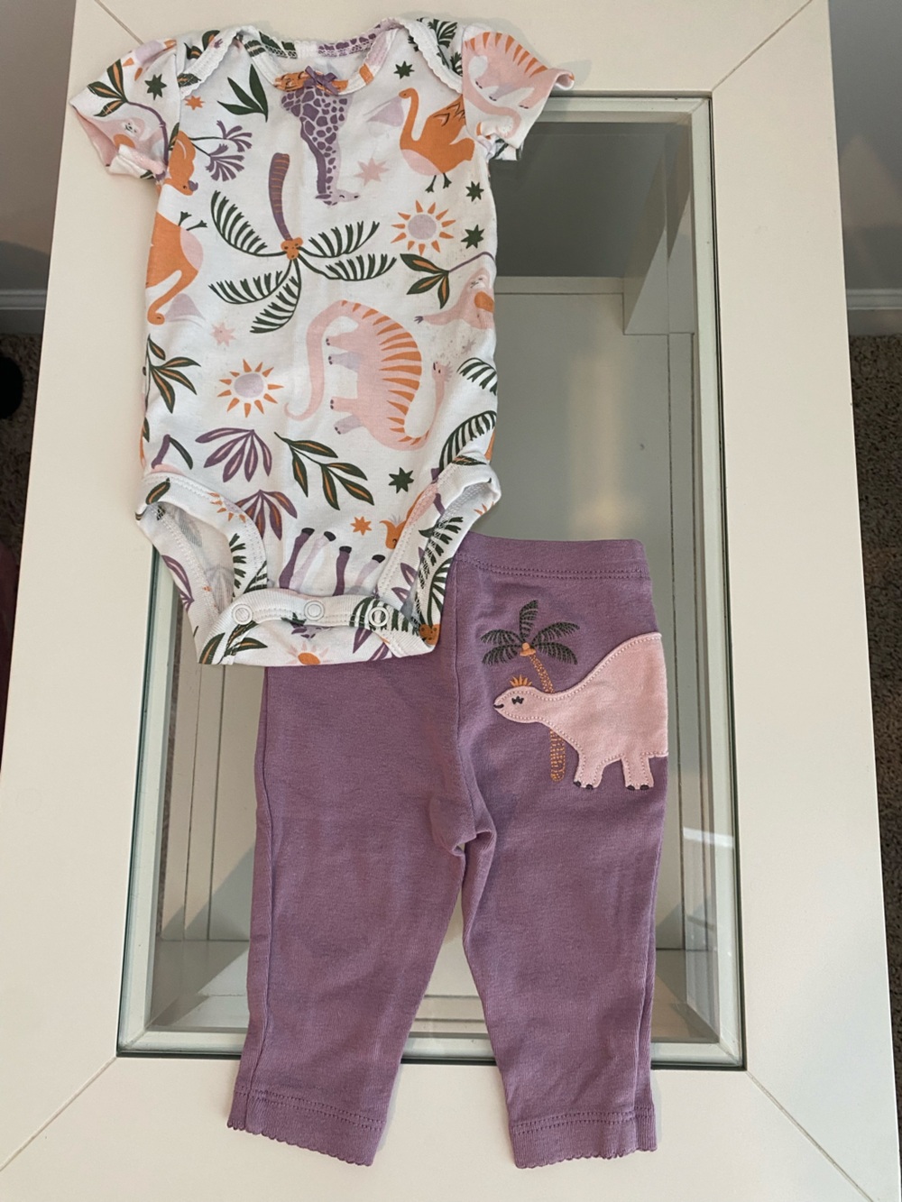 Carters Girls 3M matching dinosaur set